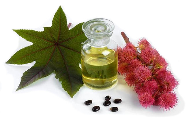 Castor Oil Health Benefits