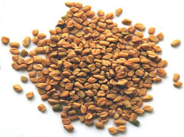 Fenugreek