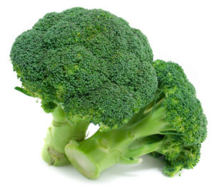 Broccoli