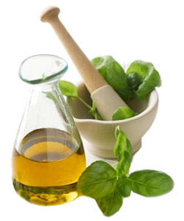 Oil of Oregano Health Benefits