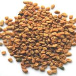 Fenugreek Health Benefits