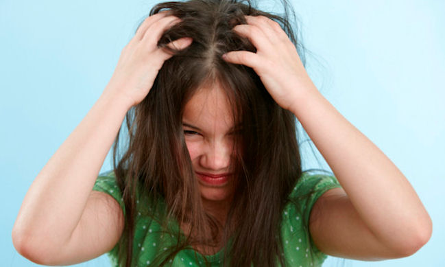 Head Lice Home Remedy