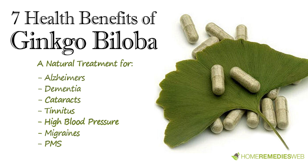 Ginkgo Biloba Health Benefits