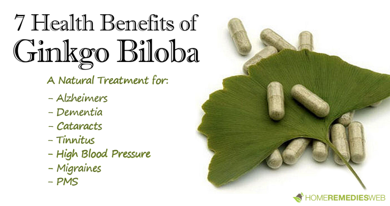 Ginkgo Biloba Health Benefits
