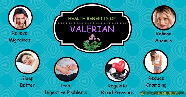 Health Benefits of Valerian